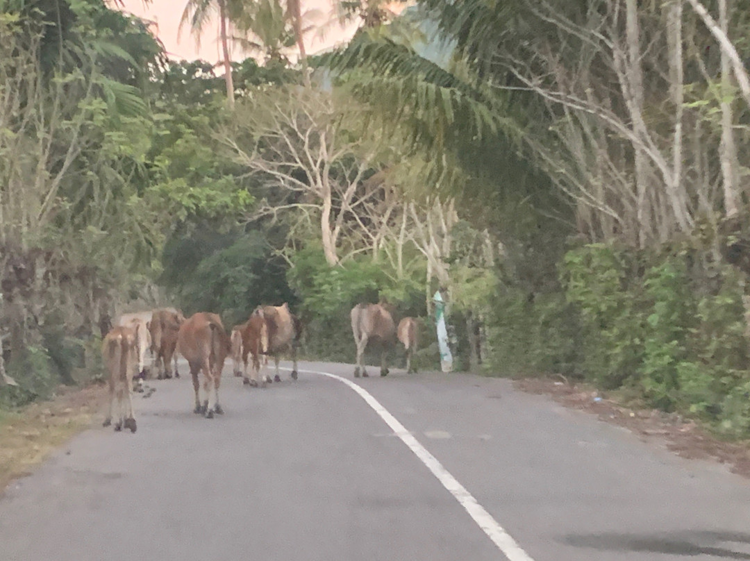 Pulau Weh Paradise主图