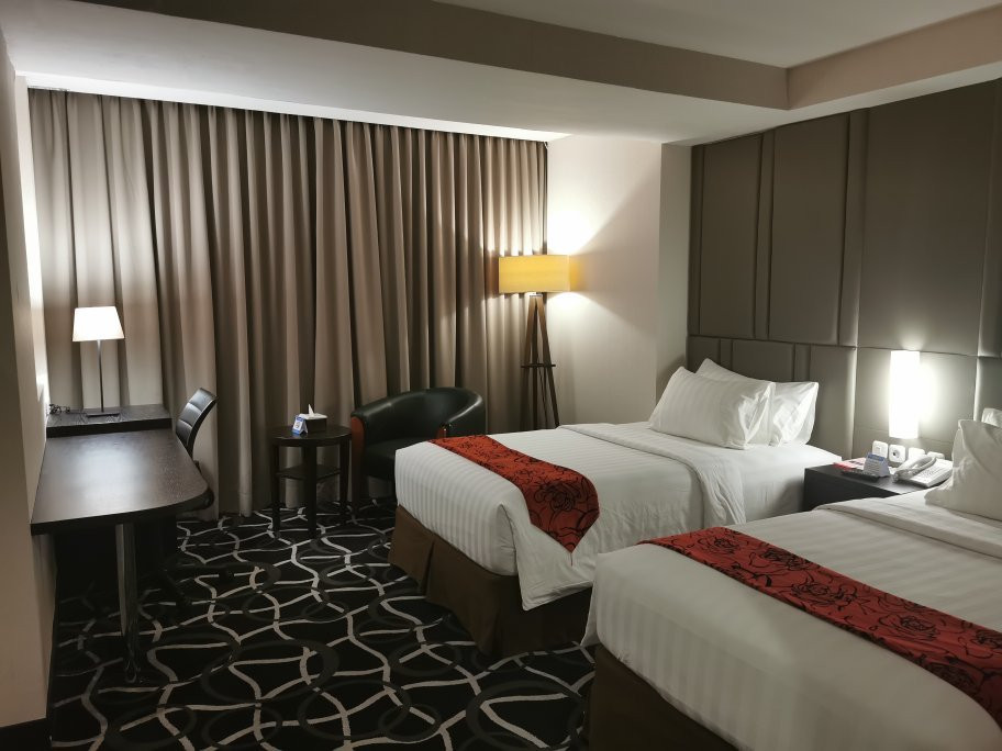 皇家丹奈豪景酒店主图