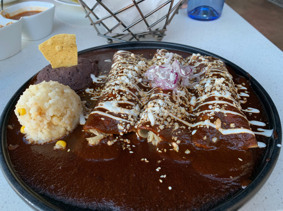 Agave del Scottsdale