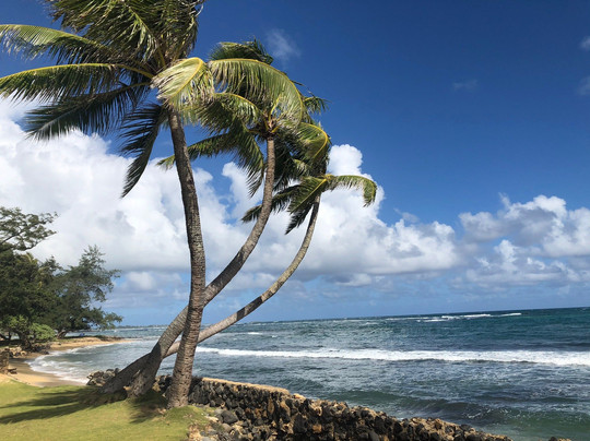 Nui Tours-希洛必去景点