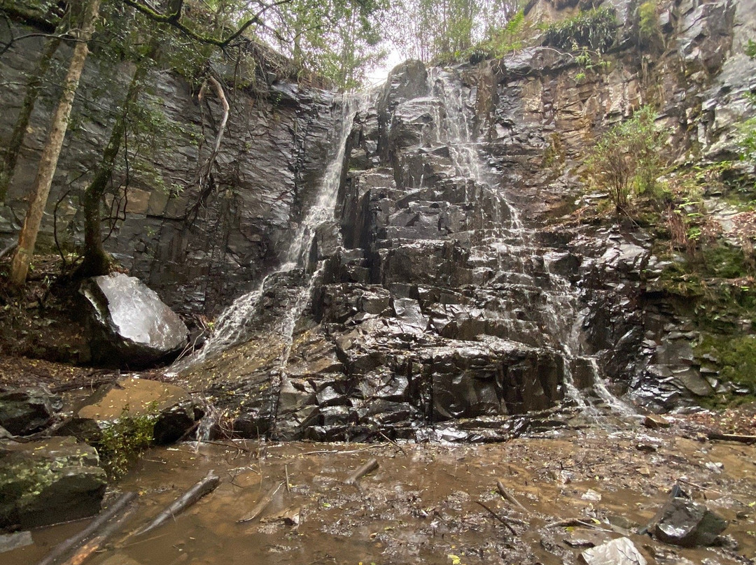 39 Steps-Hogsback必去景点