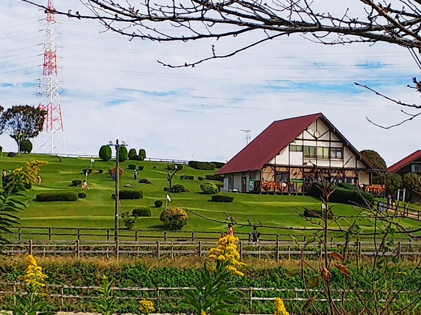 Togo Parking Area Inbound