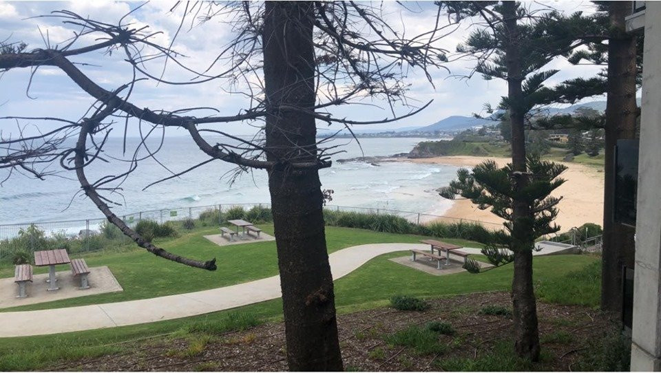 Austinmer Beach-卧龙岗市必去景点