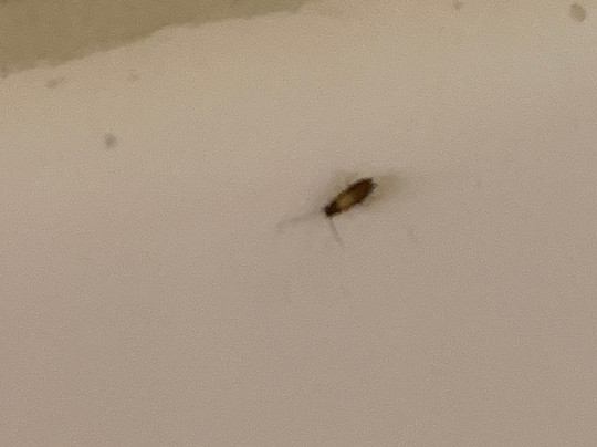 Extended Stay America Orlando - Maitland - 1760 Pembrook Dr.主图