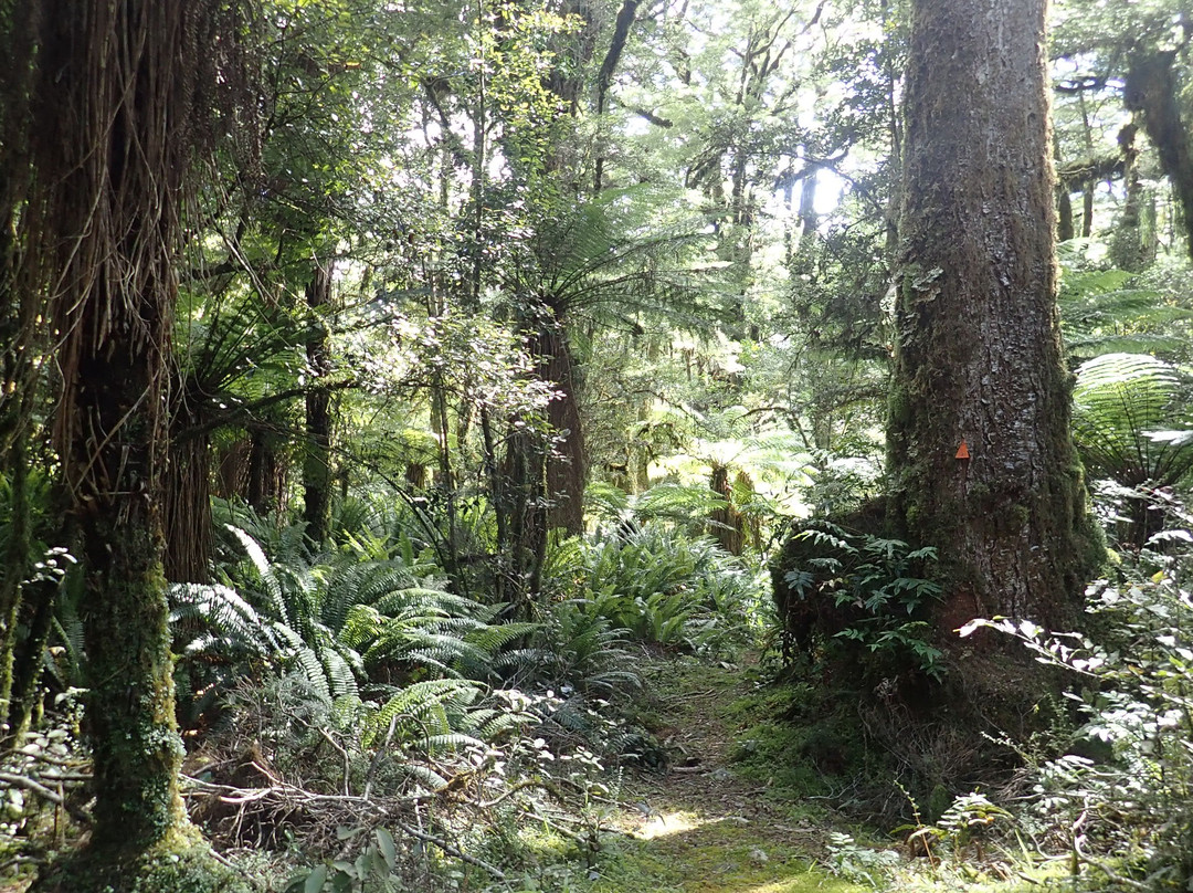 Dusky Track-Fiordland National Park必去景点