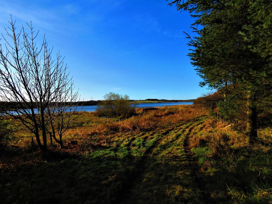 Loch Fitty-Kinross必去景点
