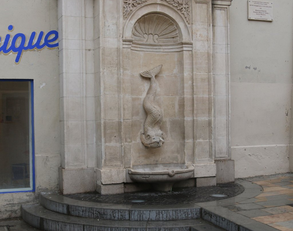 Cours Lafayette景点图片