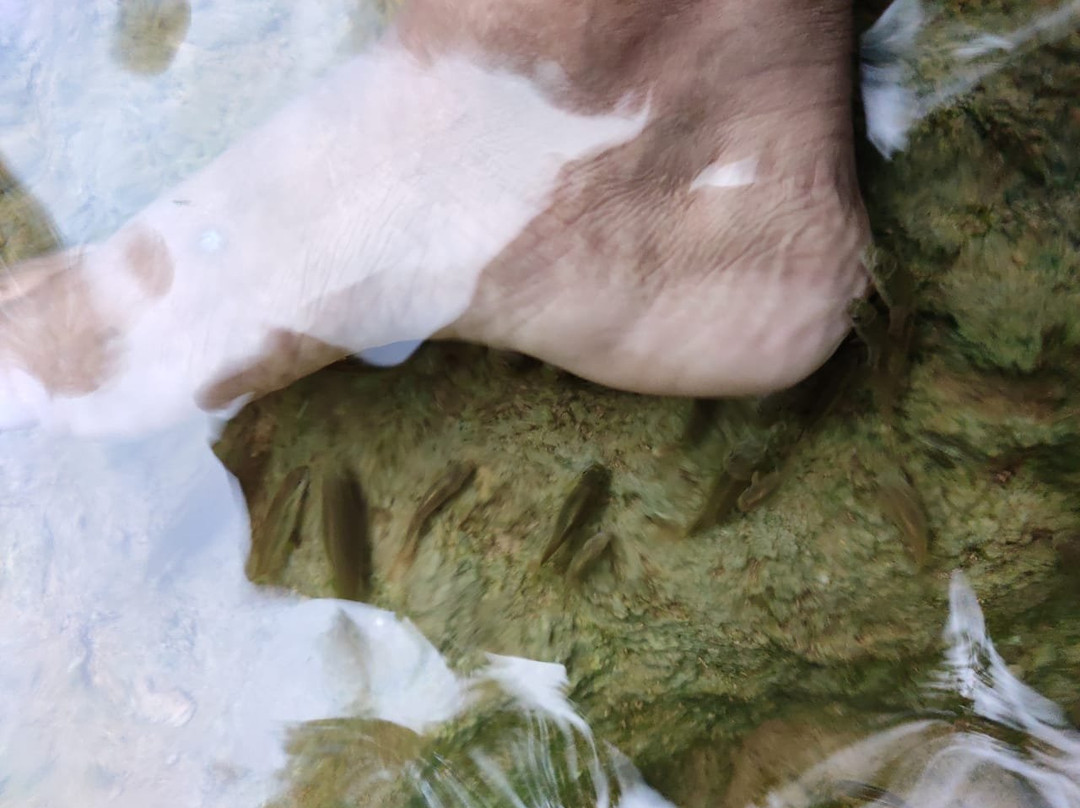 Bhimkund-Aror必去景点