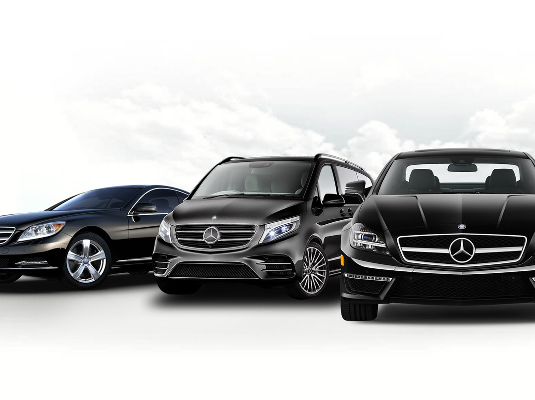 Around Amalfi Coast-庞贝必去景点