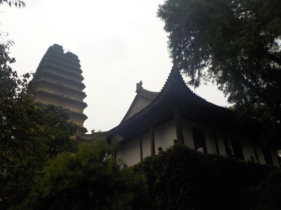 Xi'an Tour Guide的一日游-西安市必去景点