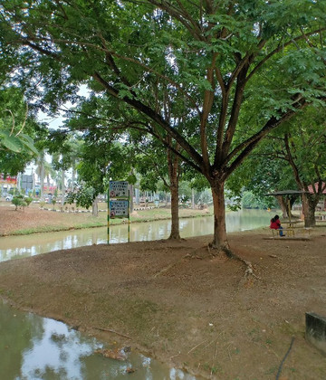 Jempol Lake Garden-Bahau必去景点