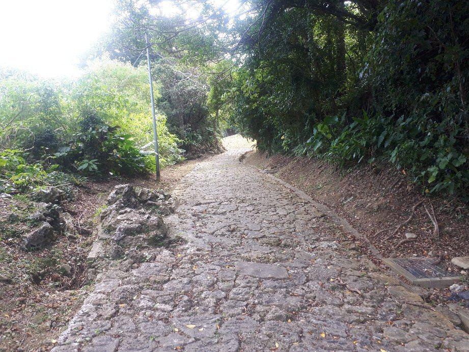 Toyamano Ishidatatami Road景点图片