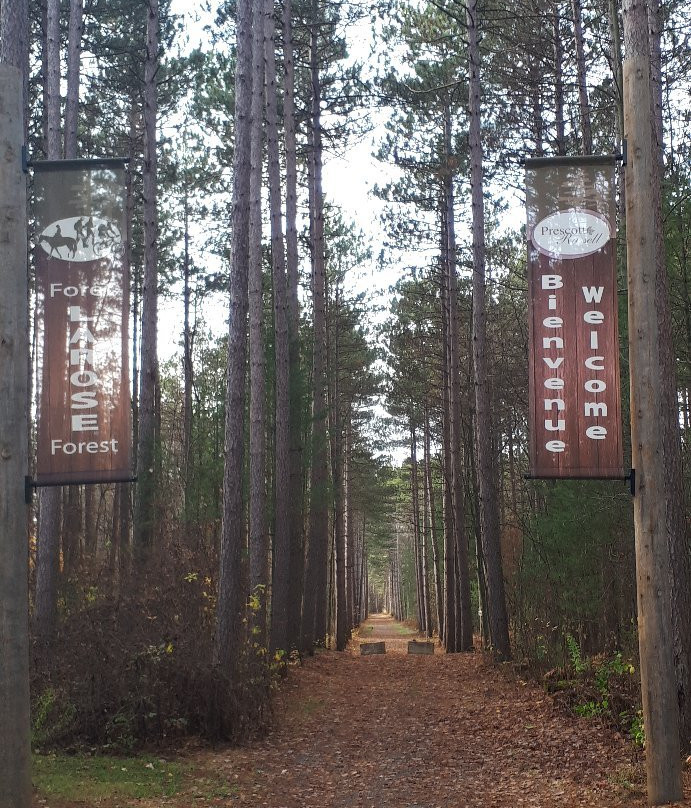 Larose Forest-Bourget必去景点