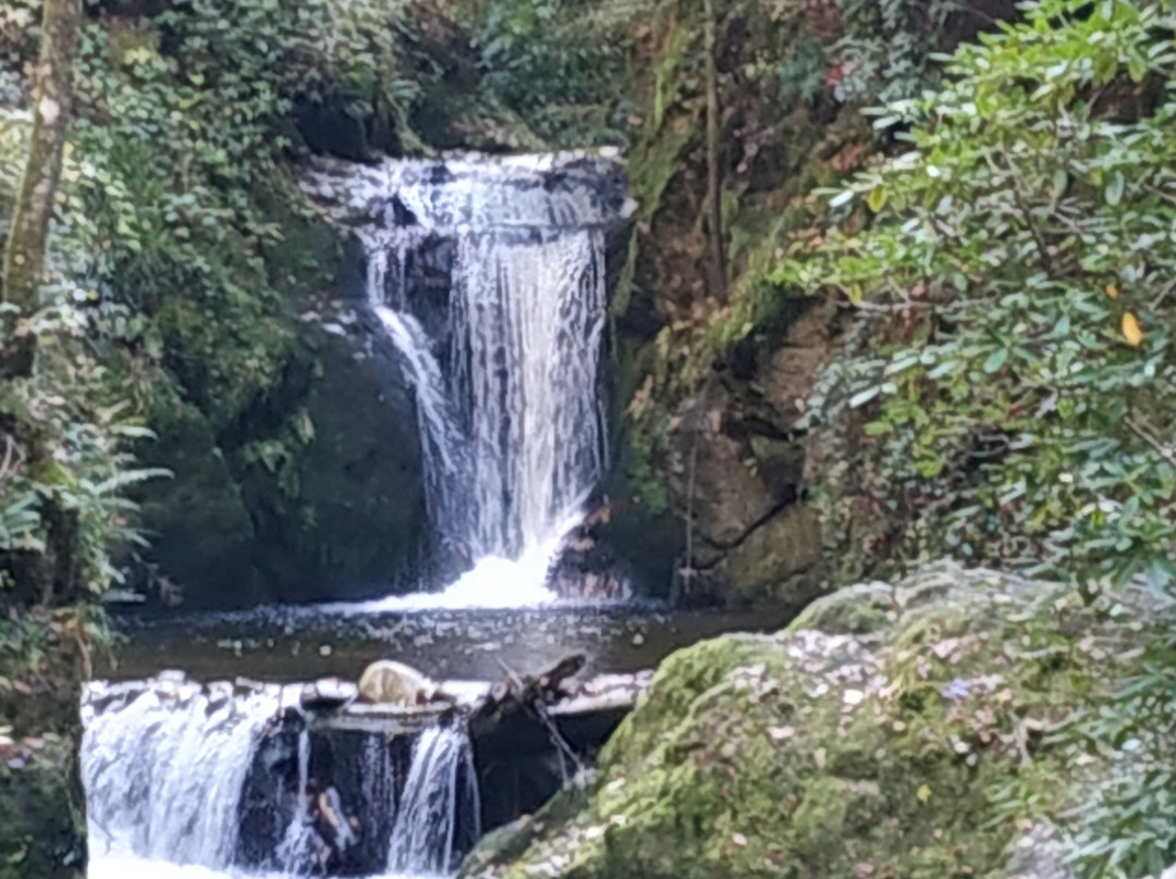 Geroldsau Waterfall景点图片