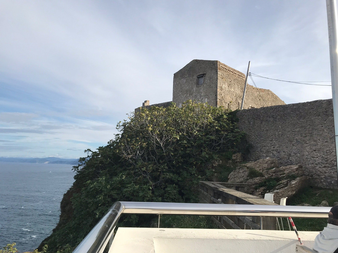 Kurtxia Landetxea主图