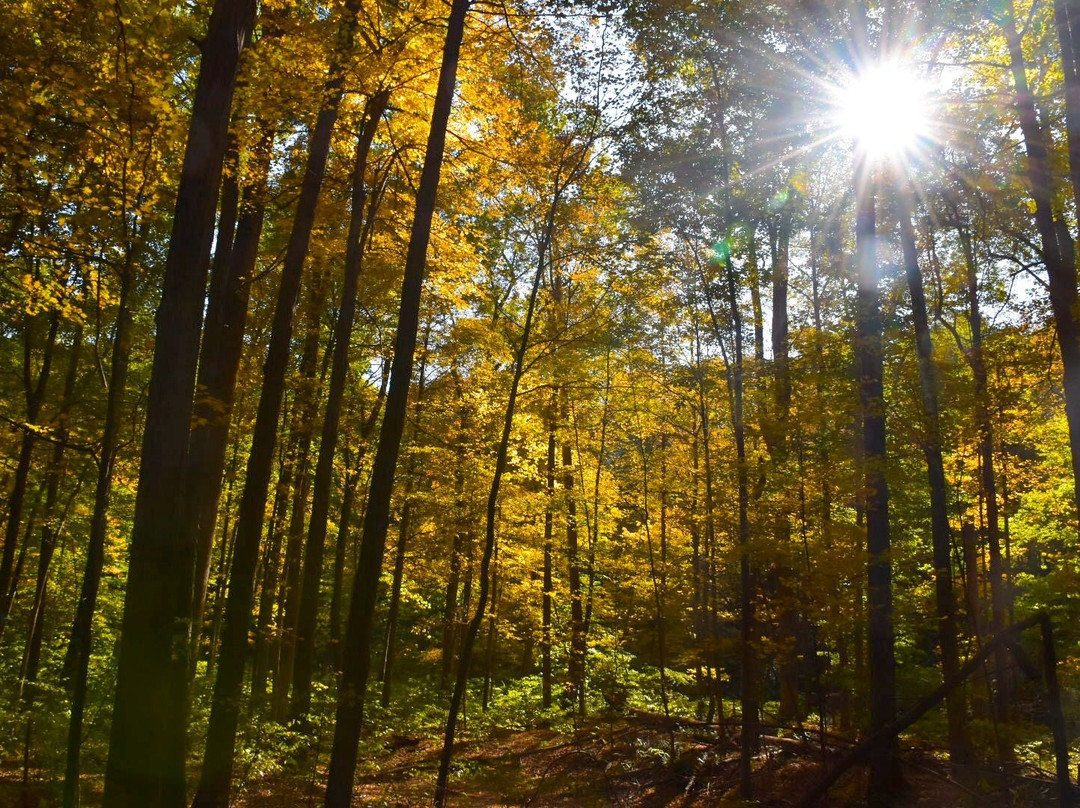 Riverdog Retreat主图