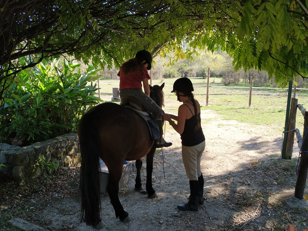 Trailriders Horse Trekking-Gouvia必去景点