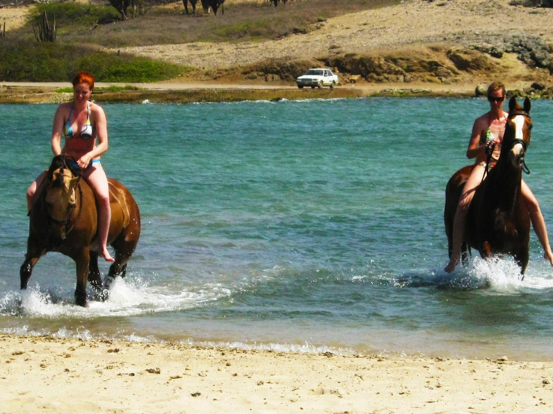 Rancho Washikemba Horse Ranch Bonaire景点图片