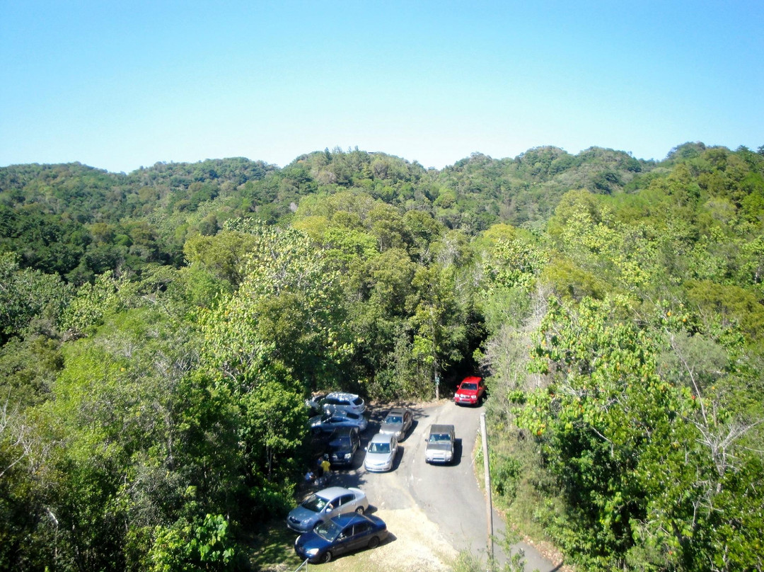 Aventuras Borinken-波多黎各必去景点