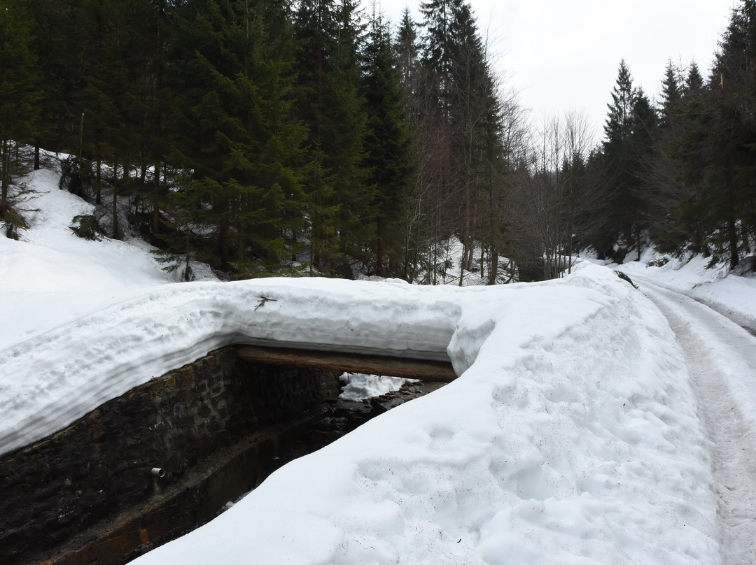 Rezerwat przyrody Wisla