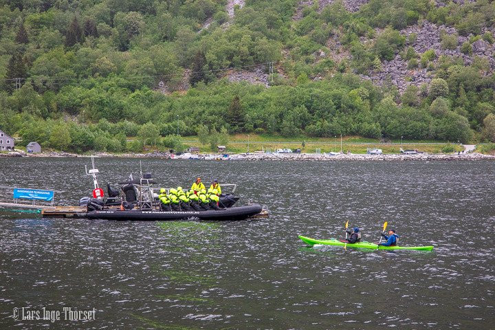 Hardanger Fjordsafari景点图片