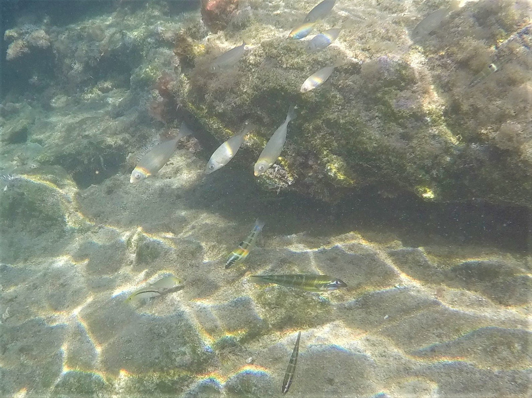 Kapparris Beach-帕拉林尼必去景点