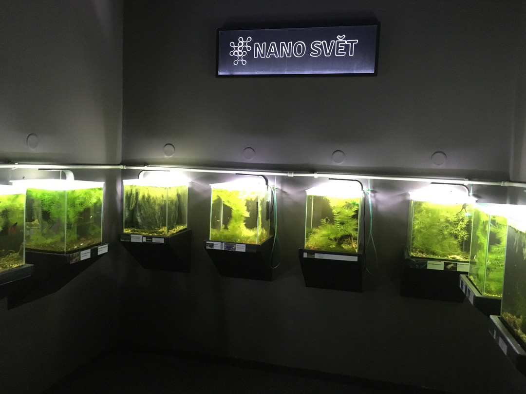 Wellness & Spa Frymburk-弗林布尔克必去景点