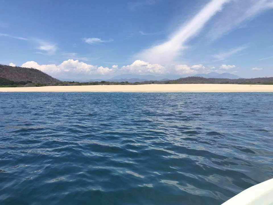 White Shark Sport Fishing & Tours景点图片