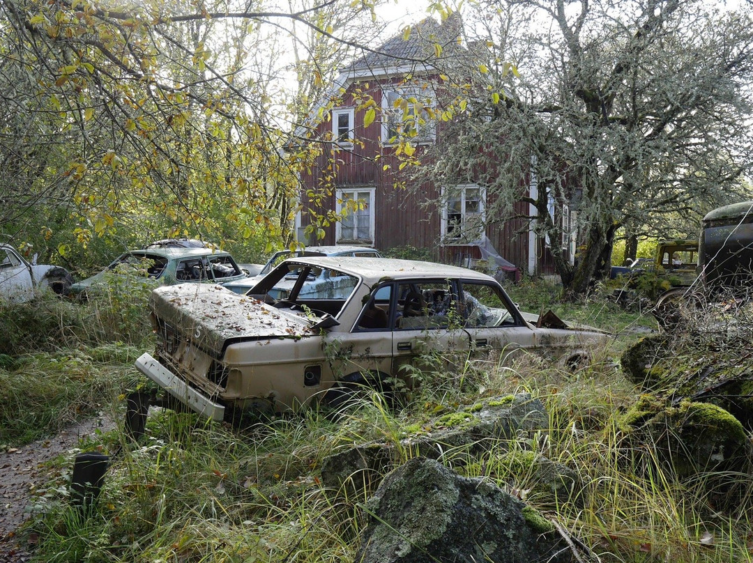 Bastnas Car Cemetery-Tocksfors必去景点