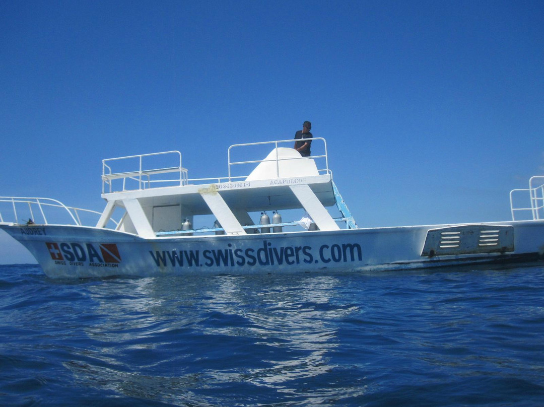 SDA - Swiss Divers Association景点图片