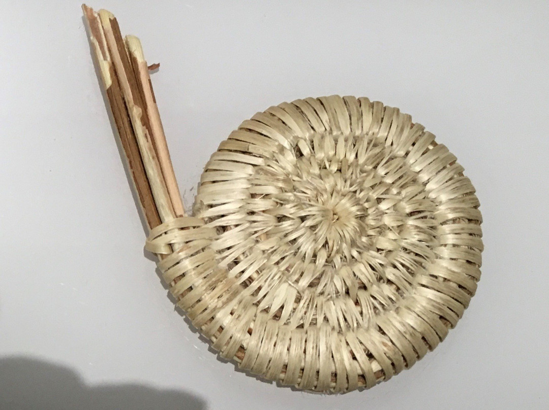 Ute Indian Museum-Montrose必去景点