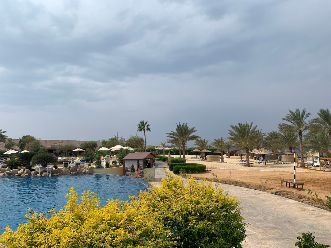 Sinai Divers Aqaba-亚喀巴必去景点