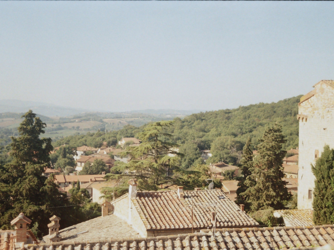 B&B il Glicine主图