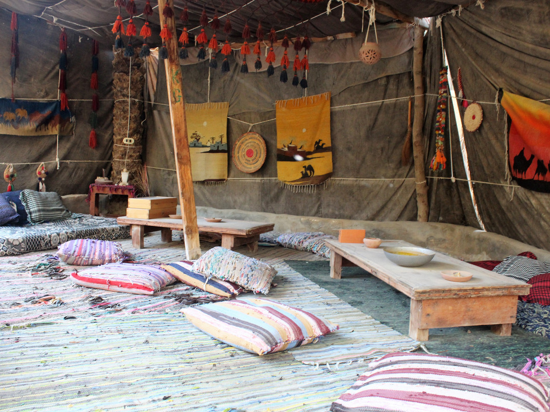 Siwa Safari Gardens Hotel主图