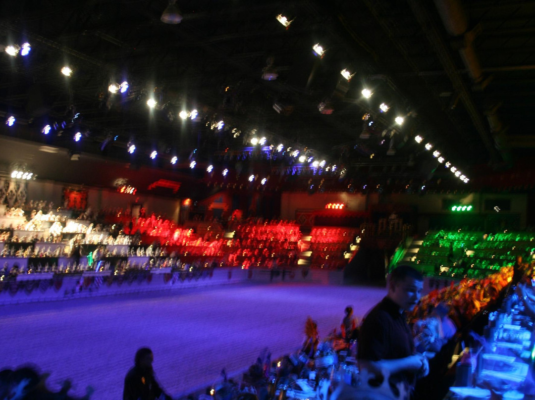 Medieval Times-绍姆堡必去景点