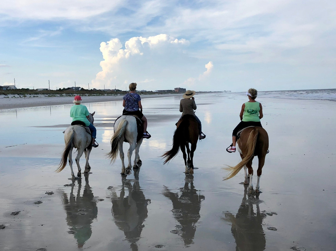 Amelia Island Horseback Riding景点图片