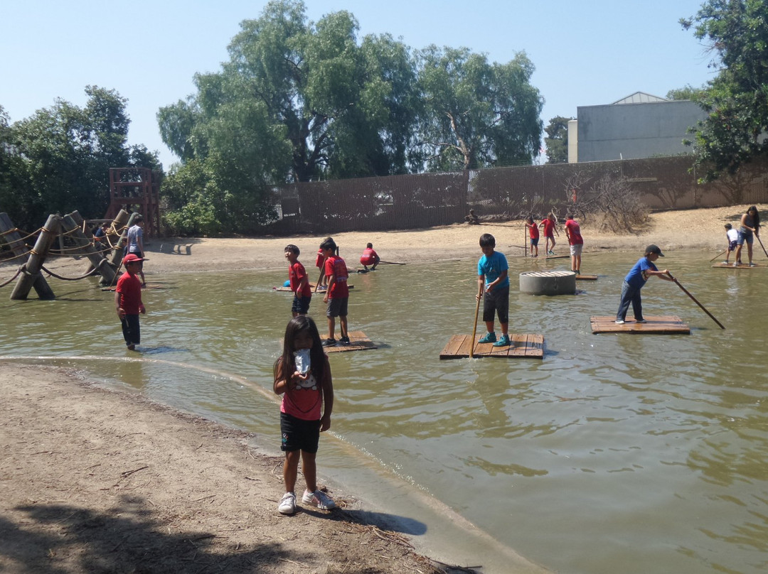 Adventure Playground
