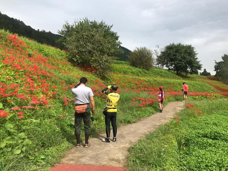 Minozawa Higanbana Park-那须町必去景点