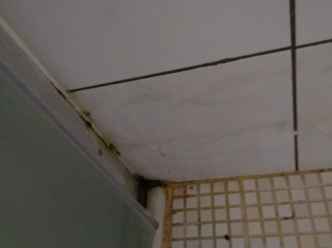 扎姆扎姆塔楼酒店主图