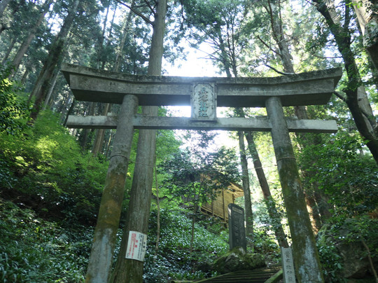 Kifuneiryu Shrine-桧原村必去景点