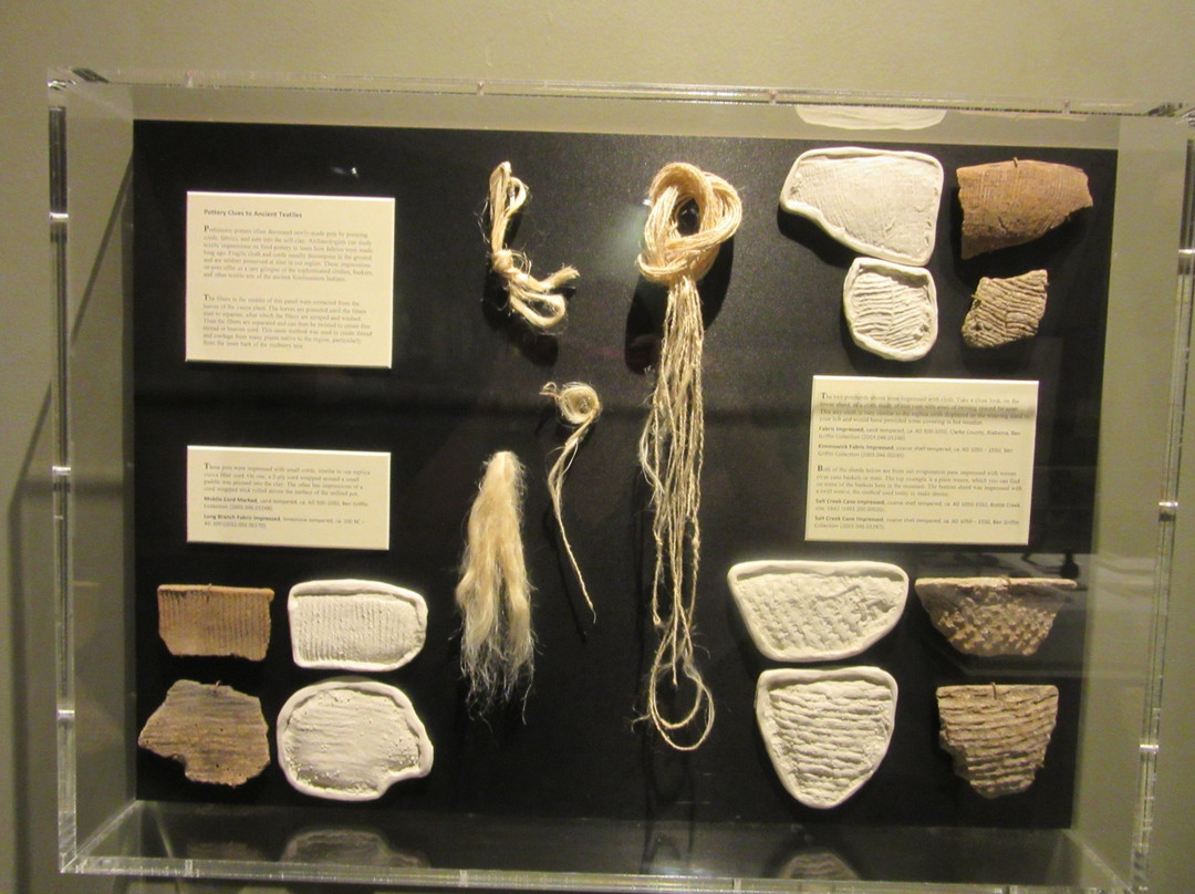 University of South Alabama Archaeology Museum景点图片