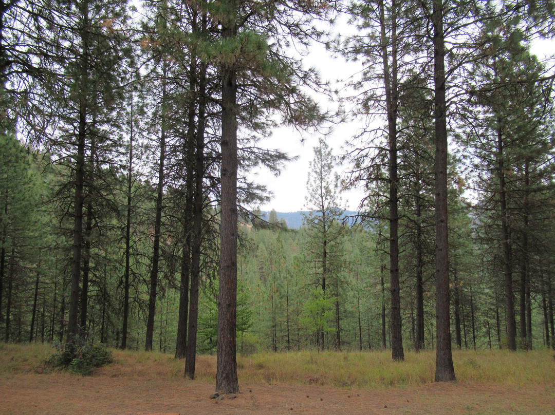 The High Country Inn主图