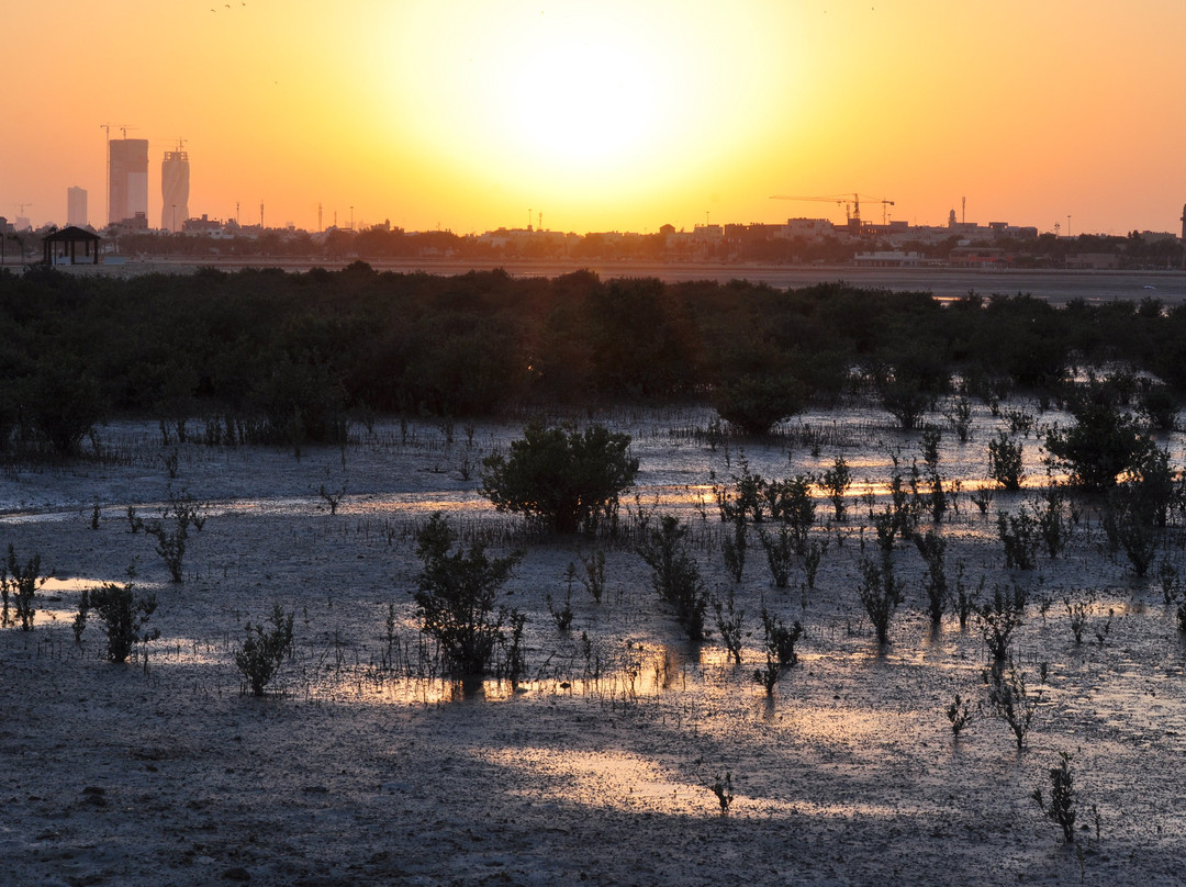 Dohat Arad Lagoon-穆哈瑞克必去景点