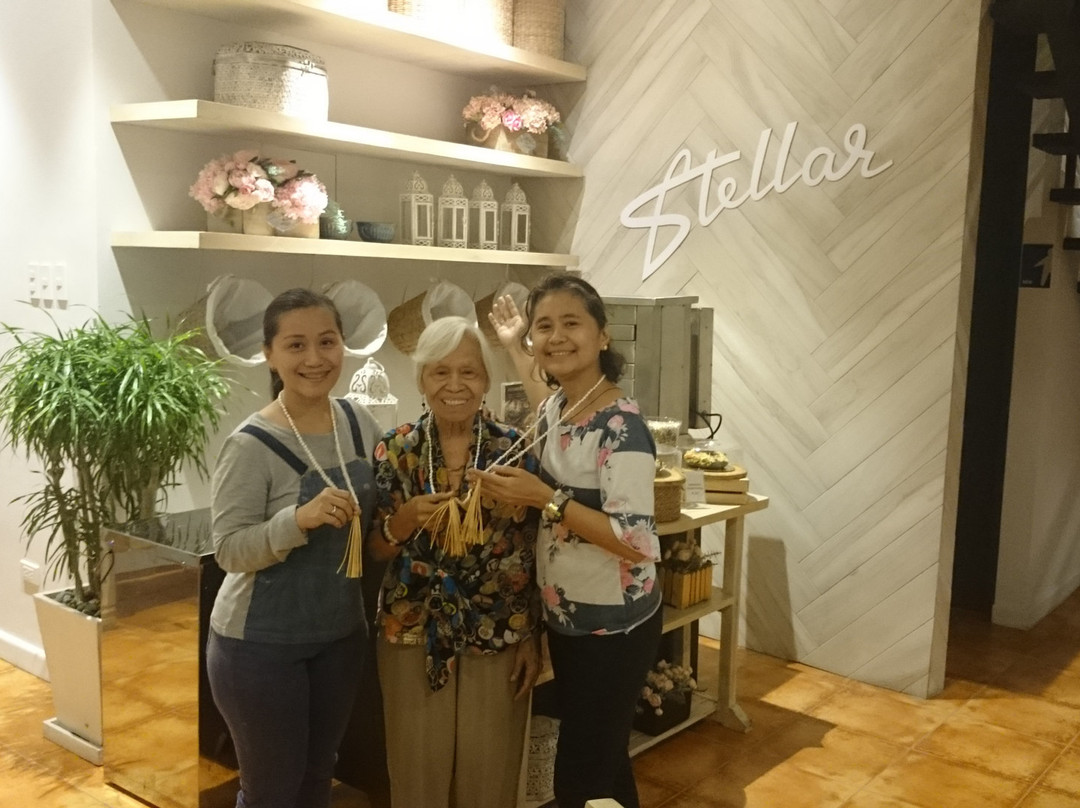 Stellar Potter's Ridge主图