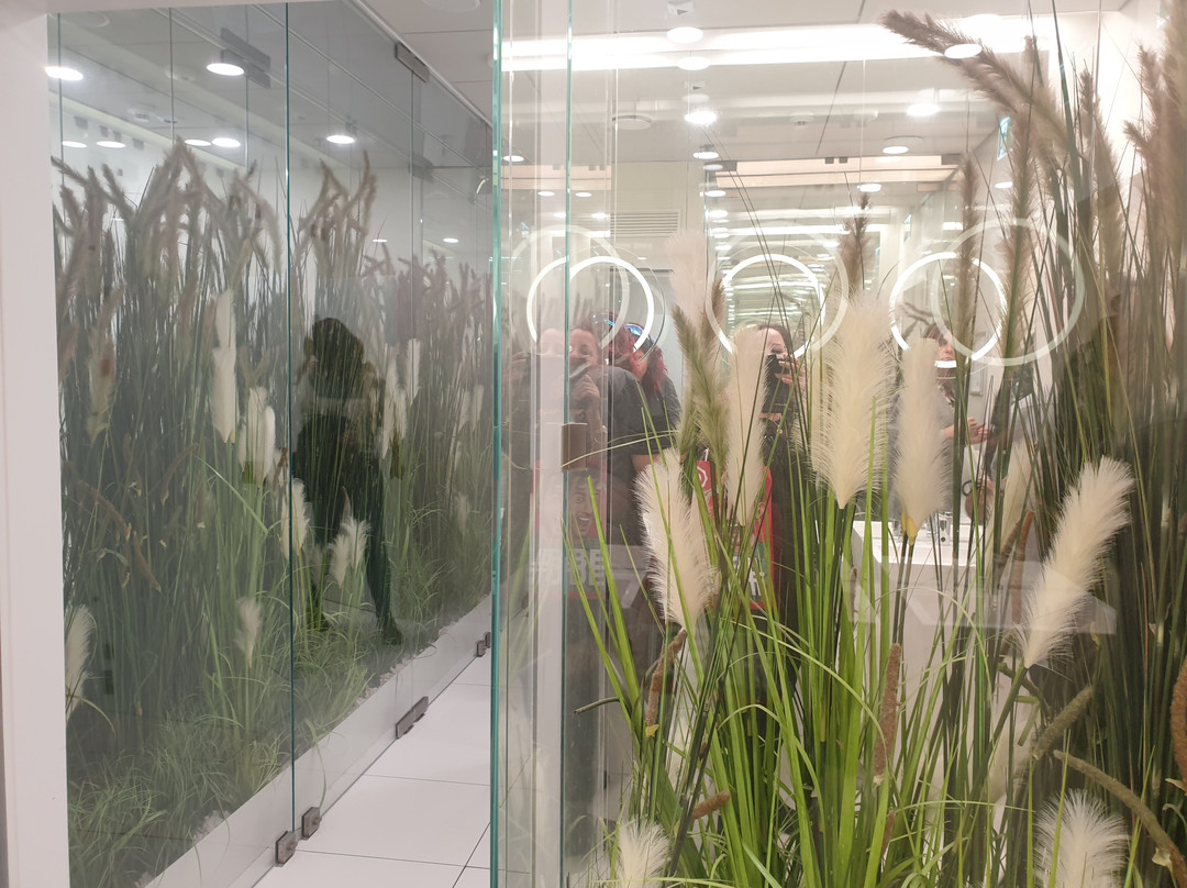 Wola Park-华沙必去景点