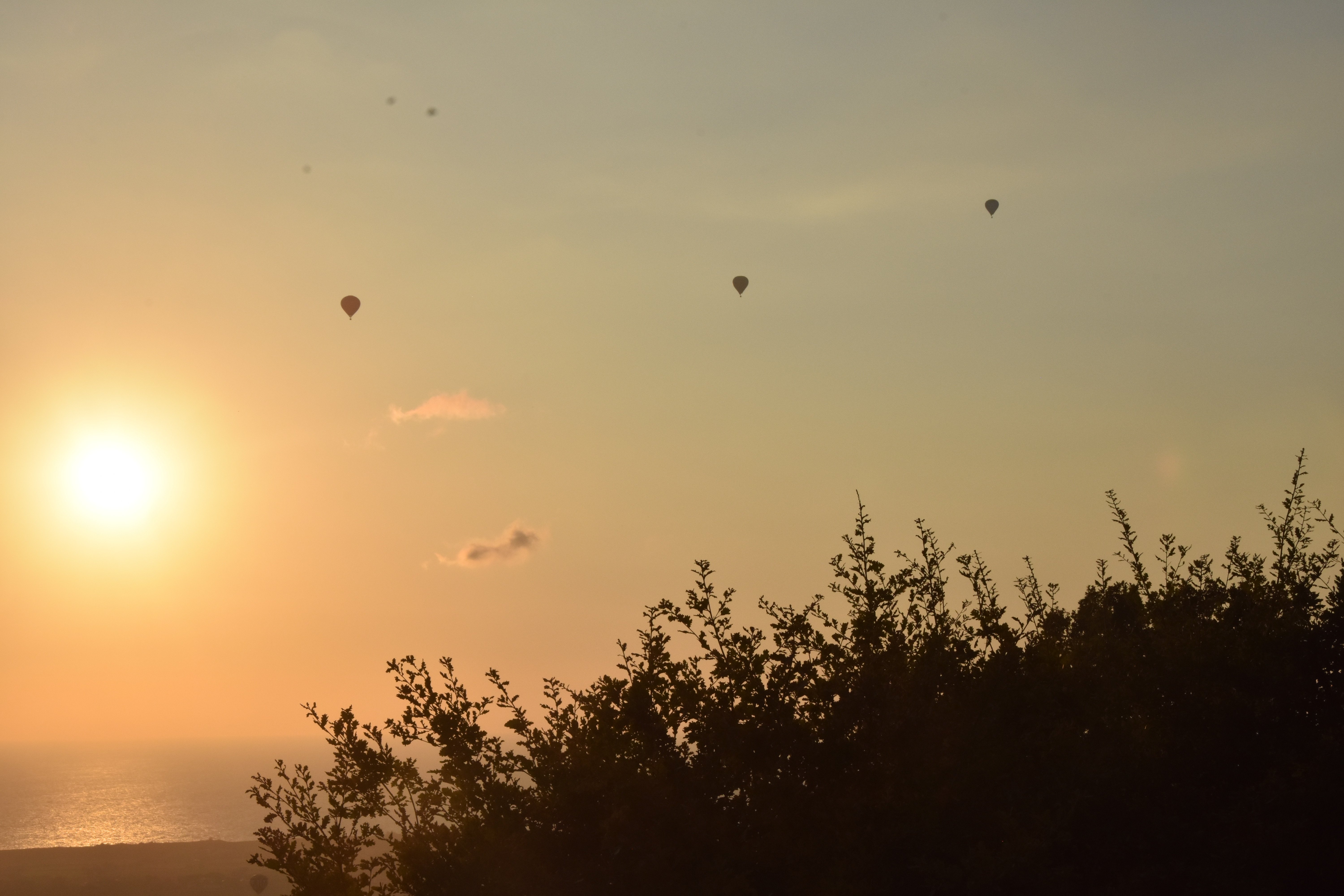 Borgo La Pietraia-酒店景观