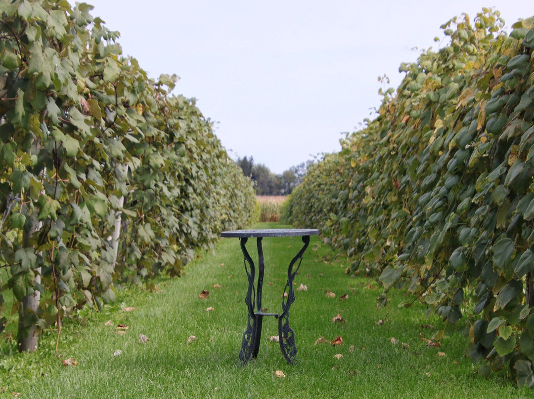 McEachran Homestead Winery-Caledonia必去景点