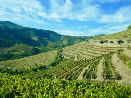 North-On-Wheels-波尔图必去景点