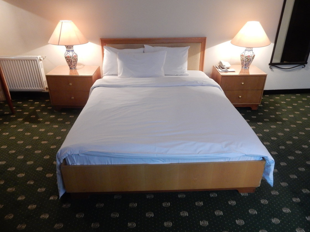 Sheki Saray Hotel主图