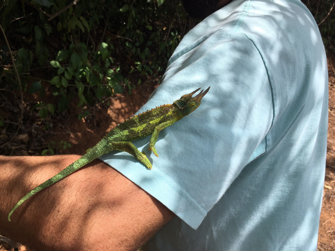 Hawaii Jeep & Specialty Tours-火奴鲁鲁必去景点